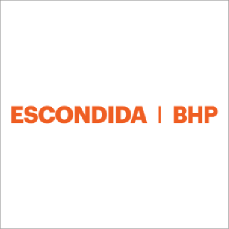Logo_Escondida